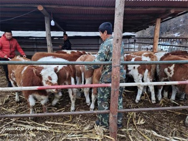 file0001.jpg file0001.jpg